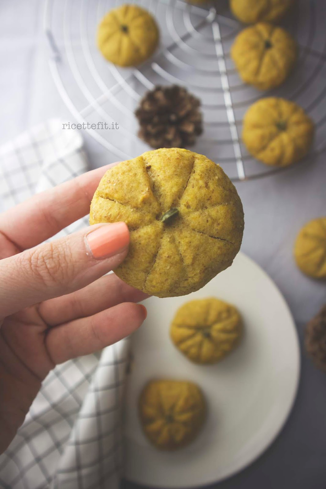 Biscotti alla zucca senza zucchero e lattosio light di LA VIE EST FIT