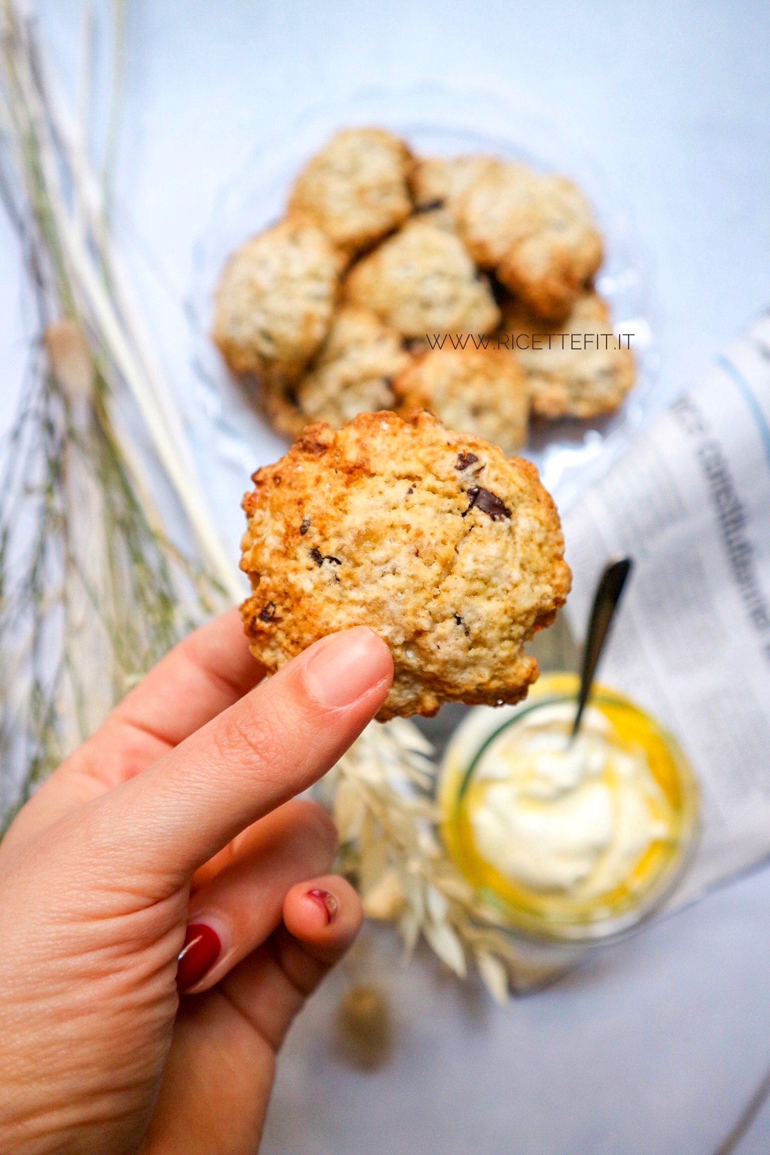 Biscotti vegan light senza uova lattosio facili e veloci di LA VIE EST FIT 